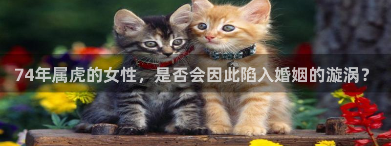 新城平台退款怎么退：74年属虎的女性，是否会因此陷入婚姻的漩涡？