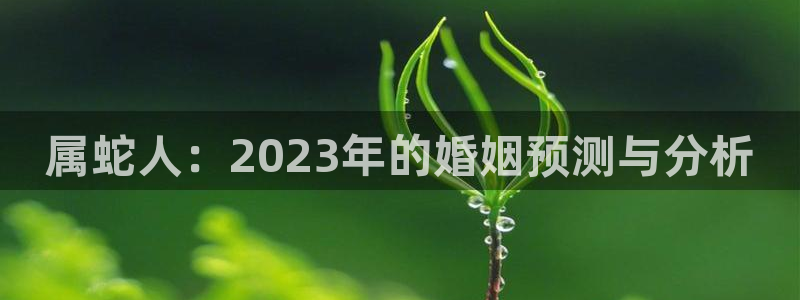 新城平台平台app下载安装：属蛇人：2023年的婚姻预测与分析