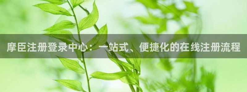 壹号电子娱乐app下载最新版本：摩臣注册登录中心：一站式、便捷化的在线注册流程