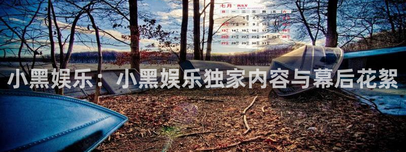 壹号大舞台下载链接：小黑娱乐：小黑娱乐独家内容与幕后花絮