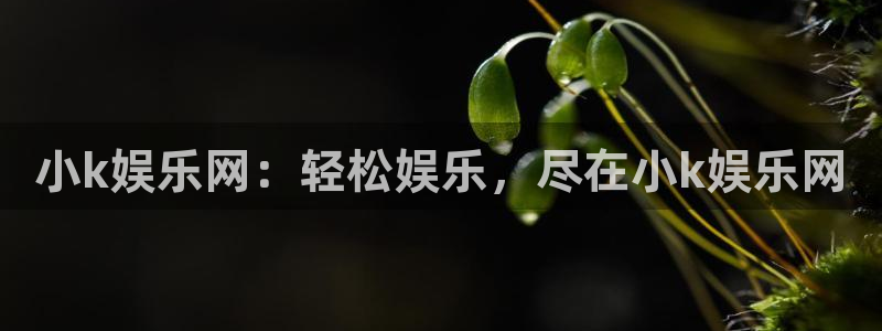 新城平台,com：小k娱乐网：轻松娱乐，尽在小k娱乐网