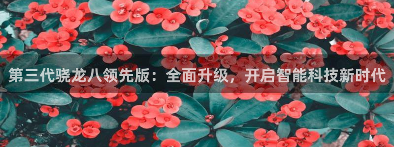 壹号app官网版下载：第三代骁龙八领先版：全面升级，开启智能科技新时代