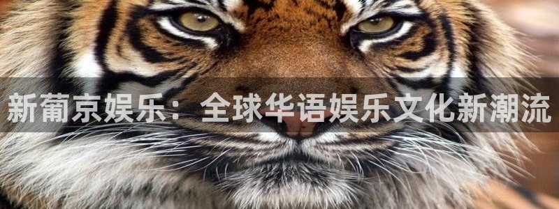新城平台app下载地址：新葡京娱乐：全球华语娱乐文化新潮流