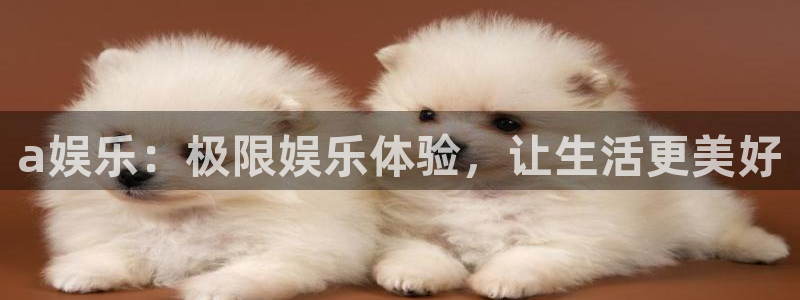 壹号大舞台娱乐传媒：a娱乐：极限娱乐体验，让生活更美好