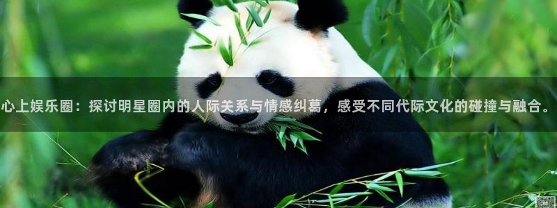 壹号注册入口app下载：心上娱乐圈：探讨明星圈内的人际关系与情感纠葛，感受不同代际文化的碰撞与融合。