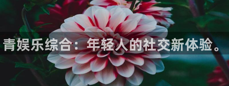 新城平台app下载安装：青娱乐综合：年轻人的社交新体验。