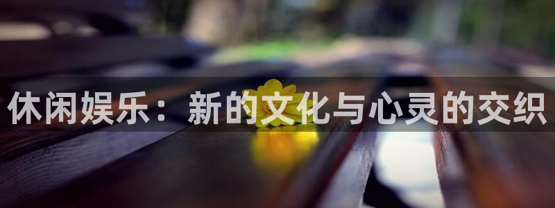 新城平台平台app下载安装：休闲娱乐：新的文化与心灵的交织
