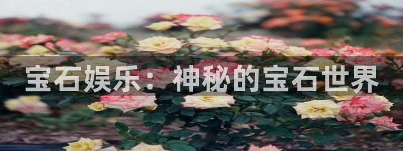新城平台app官网下载苹果：宝石娱乐：神秘的宝石世界