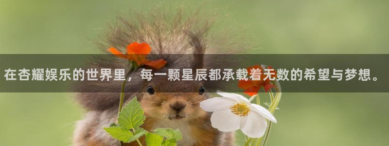 新城平台app下载安装：在杏耀娱乐的世界里，每一颗星辰都承载着无数的希望与梦想。
