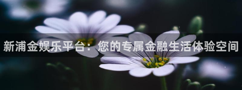壹号大舞台网站：新浦金娱乐平台：您的专属金融生活体验空间