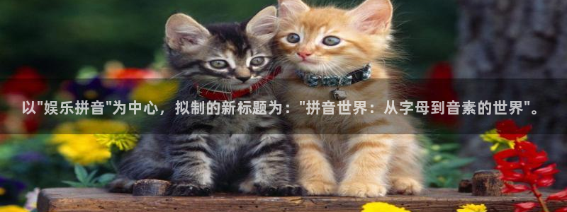 新城平台app官网下载：以\