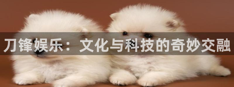 新城平台怎么下载：刀锋娱乐：文化与科技的奇妙交融