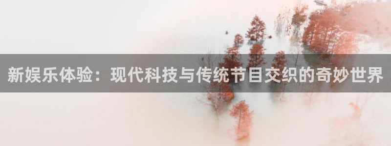 新城平台官网：新娱乐体验：现代科技与传统节目交织的奇妙世界