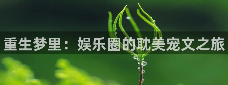 新城平台-ng大舞台,有梦你就来：重生梦里：娱乐圈的耽美宠文之旅