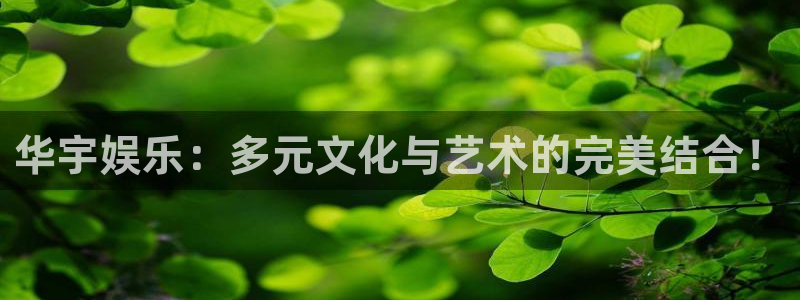 壹号官方app下载安装：华宇娱乐：多元文化与艺术的完美结合！