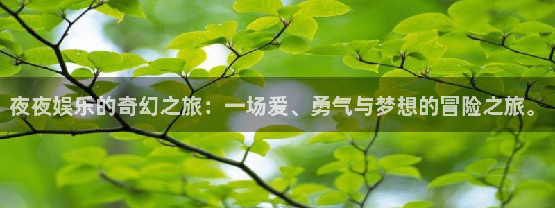 新城平台app最新版怎么下载苹果：夜夜娱乐的奇幻之旅：一场爱、勇气与梦想的冒险之旅。