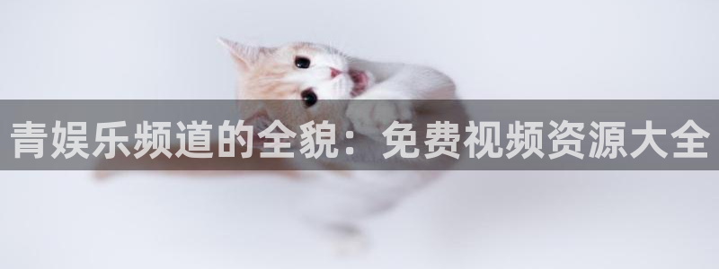 新城平台,apk：青娱乐频道的全貌：免费视频资源大全