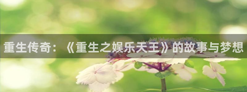 新城平台吧：重生传奇：《重生之娱乐天王》的故事与梦想
