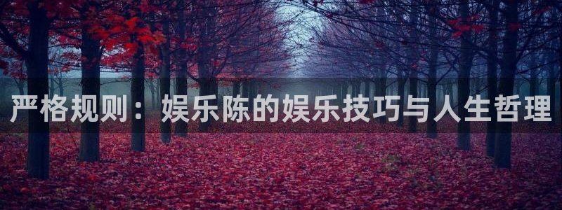 新城平台app网页入口：严格规则：娱乐陈的娱乐技巧与人生哲理