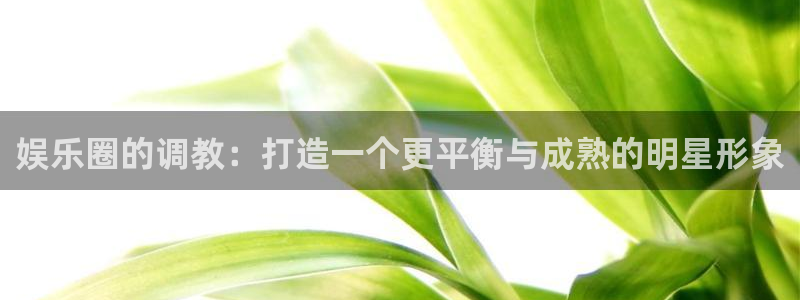 新城平台强制退款流程详解：娱乐圈的调教：打造一个更平衡与成熟的明星形象