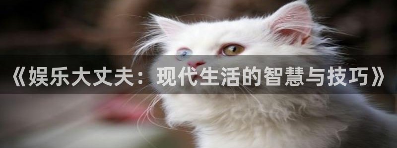 新城平台app下载：《娱乐大丈夫：现代生活的智慧与技巧》