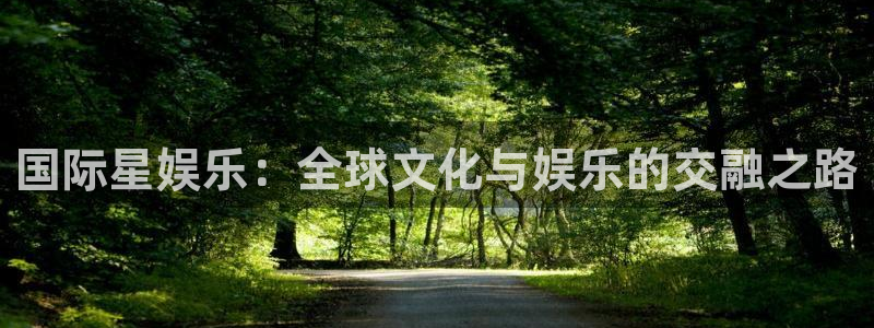 壹号平台下载安装：国际星娱乐：全球文化与娱乐的交融之路
