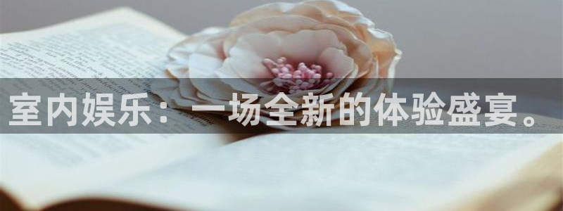 伟德国际集团 壹号(one game)：室内娱乐：一场全新的体验盛宴。