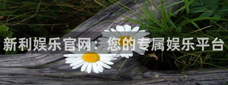 壹号注册入口app下载：新利娱乐官网：您的专属娱乐平台