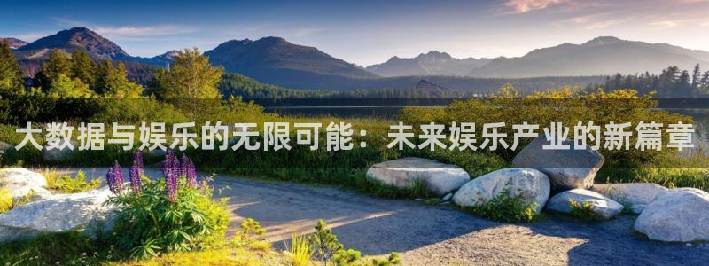 壹号top娱乐：大数据与娱乐的无限可能：未来娱乐产业的新篇章