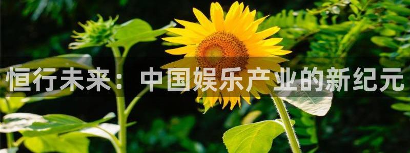 新城平台充值怎么退款：恒行未来：中国娱乐产业的新纪元