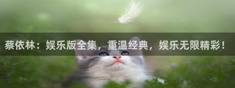新城平台.com