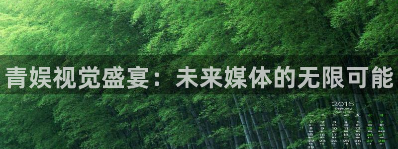 新城平台官方app下载安装：青娱视觉盛宴：未来媒体的无限可能