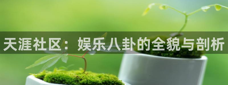新城平台app下载官网：天涯社区：娱乐八卦的全貌与剖析