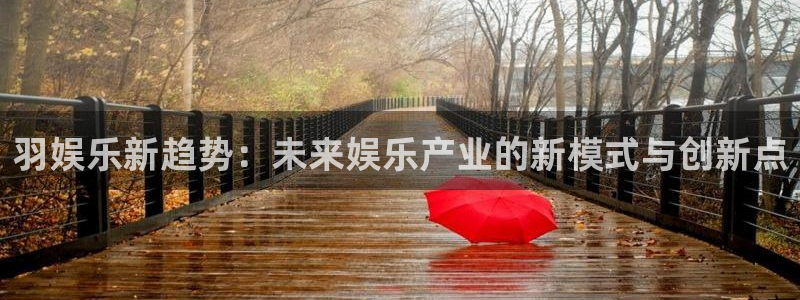新城平台强制退款流程详解：羽娱乐新趋势：未来娱乐产业的新模式与创新点