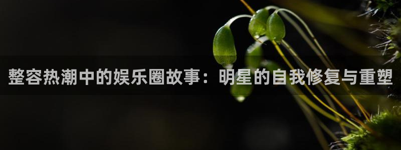 壹号下载官网入口：整容热潮中的娱乐圈故事：明星的自我修复与重塑