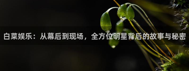 壹号官网app下载安装：白菜娱乐：从幕后到现场，全方位明星背后的故事与秘密