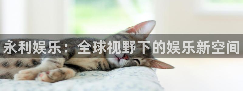 新城平台官方网站下载