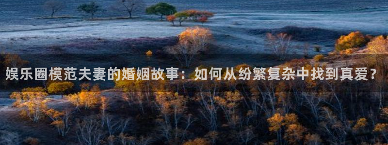 新城平台app下载安装最新版：娱乐圈模范夫妻的婚姻故事：如何从纷繁复杂中找到真爱？