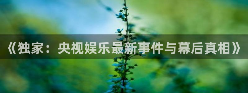 新城平台官方app下载安装：《独家：央视娱乐最新事件与幕后真相》