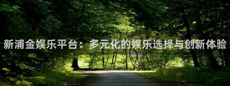 新城平台app官网下载：新浦金娱乐平台：多元化的娱乐选择与创新体验