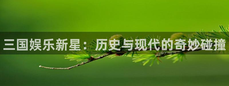 新城平台电子游戏官网：三国娱乐新星：历史与现代的奇妙碰撞