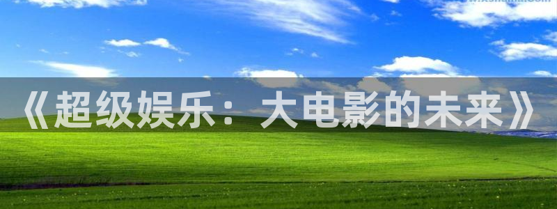 新城平台app：《超级娱乐：大电影的未来》